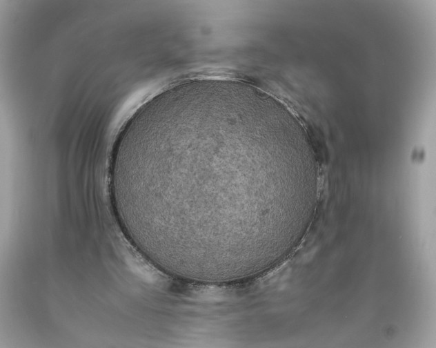 X0000091650293200709061005