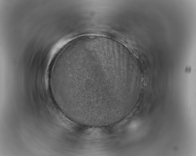 X0000091650294200709061005