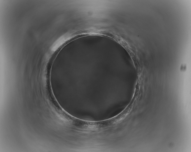 X0000091650295200709061004