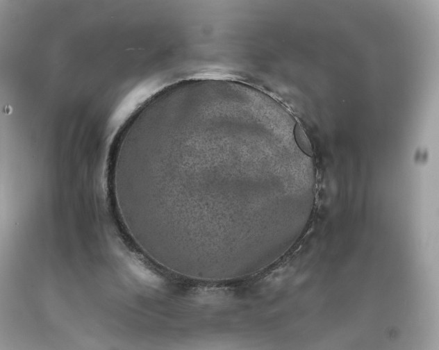 X0000091650296200709061004