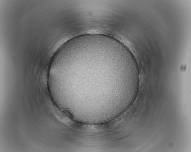 X0000091650297200709061004