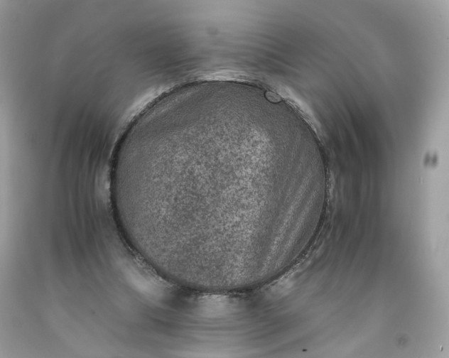 X0000091650298200709061004