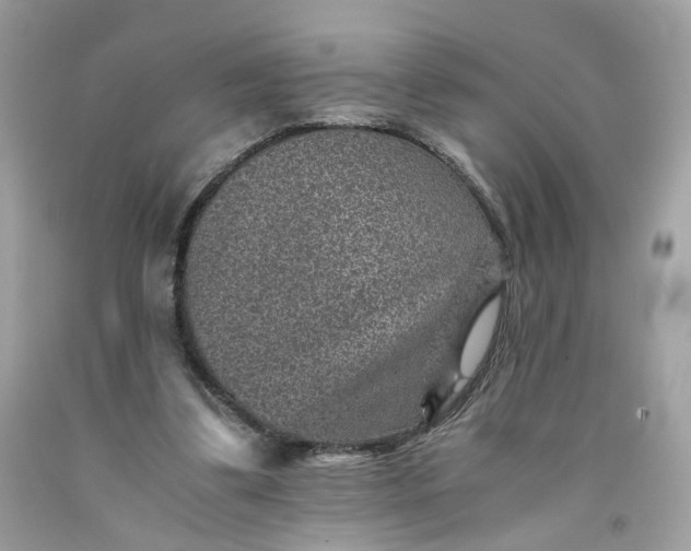 X0000091650299200709061004