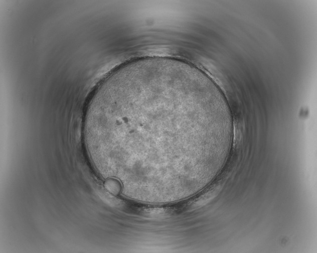 X0000091650301200709061004