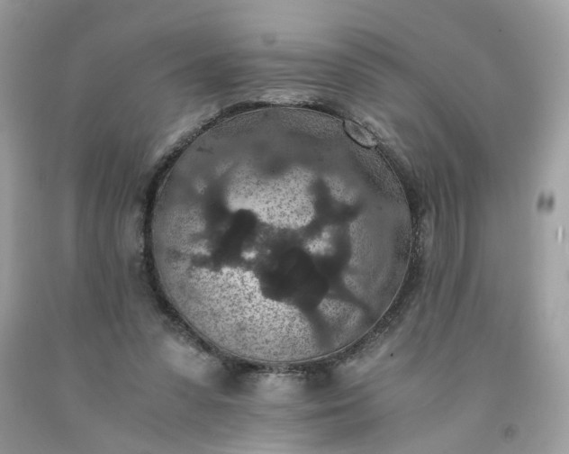 X0000091650303200709061004