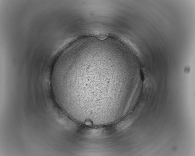 X0000091650306200709061004