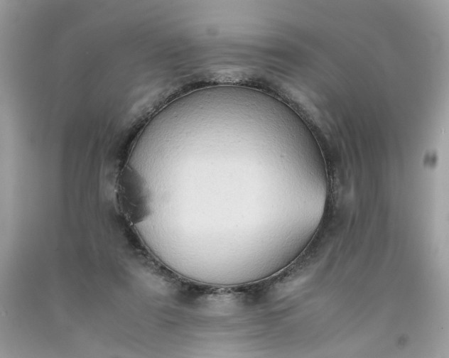 X0000091650307200709061004