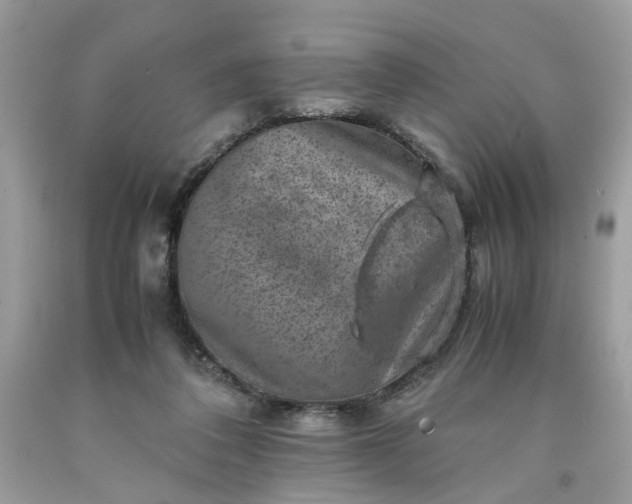 X0000091650308200709061004