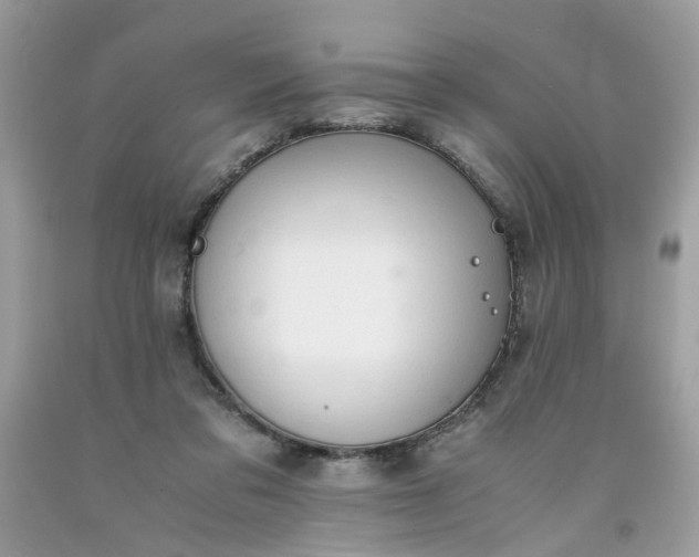 X0000091650309200709061004