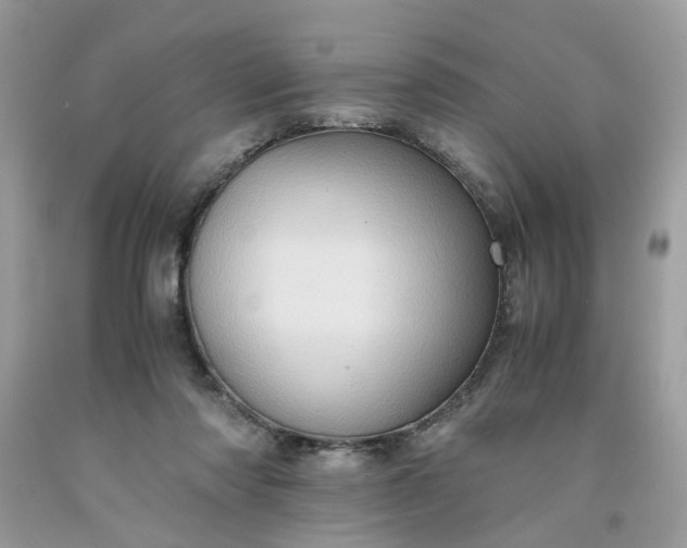 X0000091650310200709061004