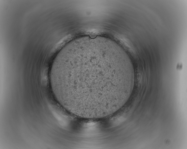 X0000091650312200709061004