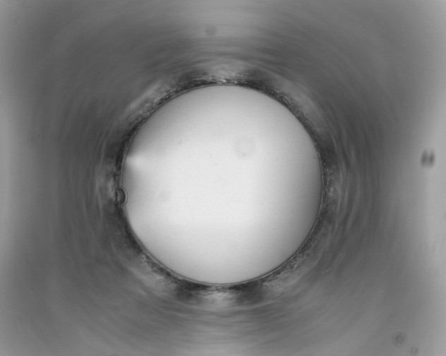 X0000091650313200709061004