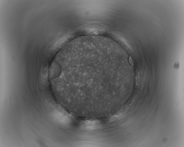 X0000091650314200709061004