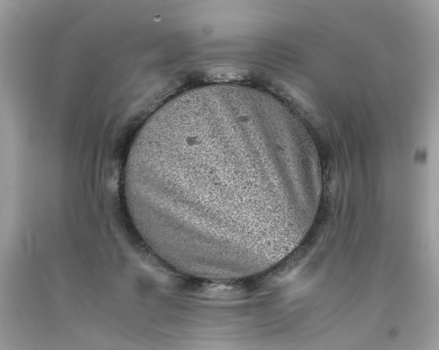 X0000091650315200709061004