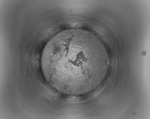 X0000091650319200709061004