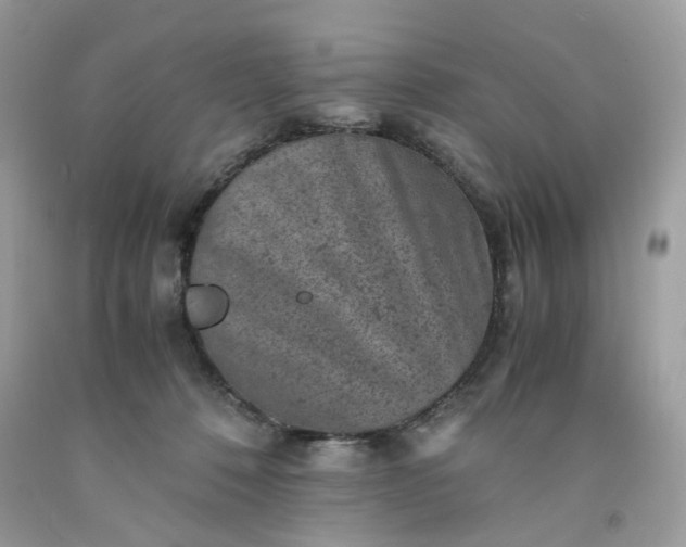 X0000091650320200709061004