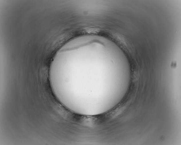 X0000091650321200709061004