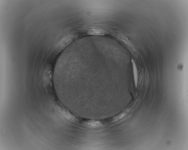 X0000091650322200709061004