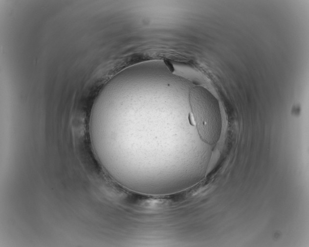 X0000091650323200709061004