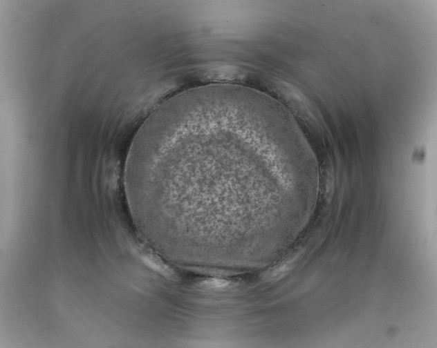 X0000091650326200709061004