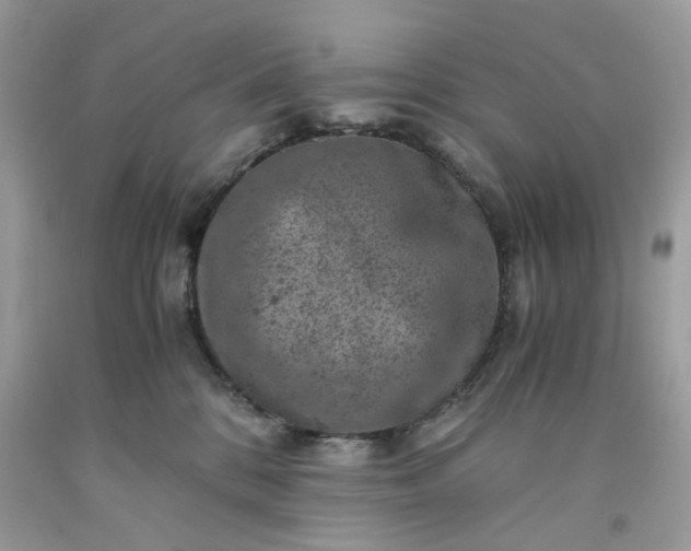 X0000091650328200709061004