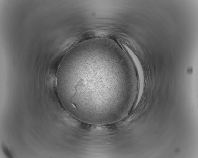 X0000091650329200709061004