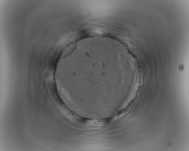 X0000091650331200709061004