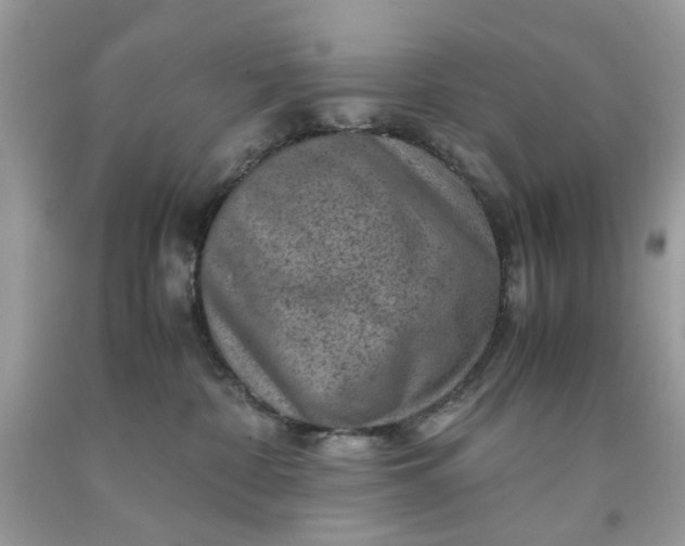 X0000091650332200709061004