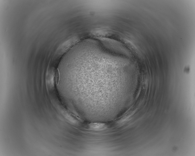 X0000091650334200709061004