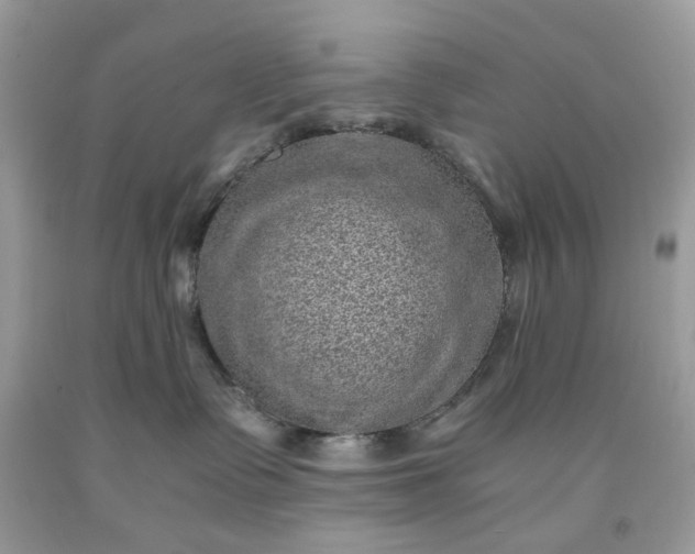 X0000091650335200709061004