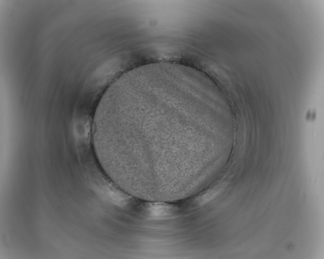 X0000091650336200709061004