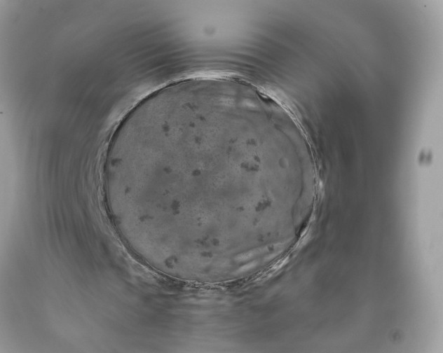 X0000091650337200709061003