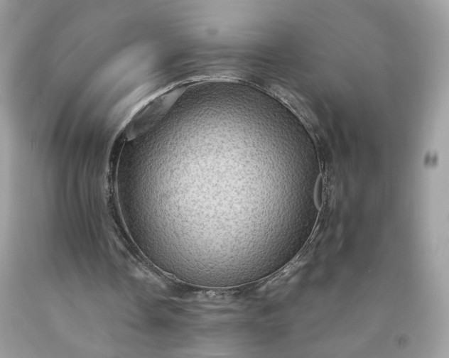 X0000091650338200709061003