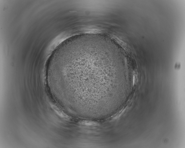 X0000091650339200709061003