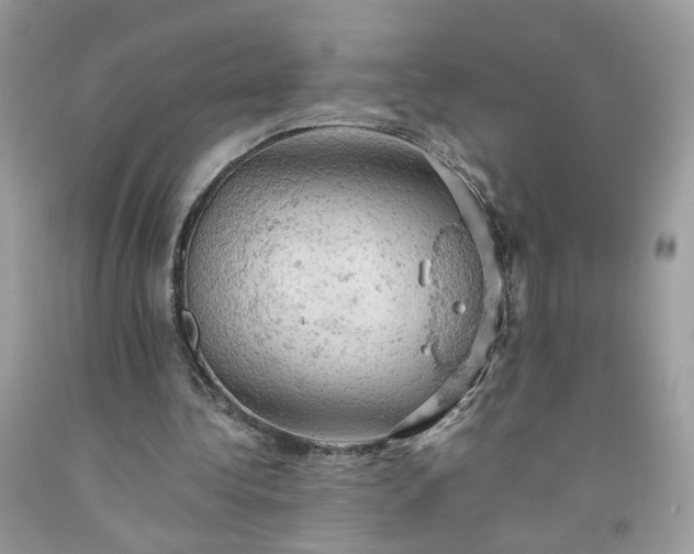 X0000091650340200709061003