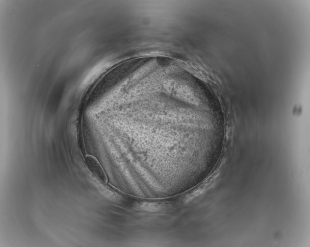 X0000091650341200709061003