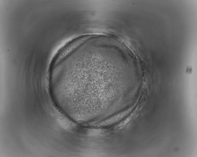 X0000091650342200709061003