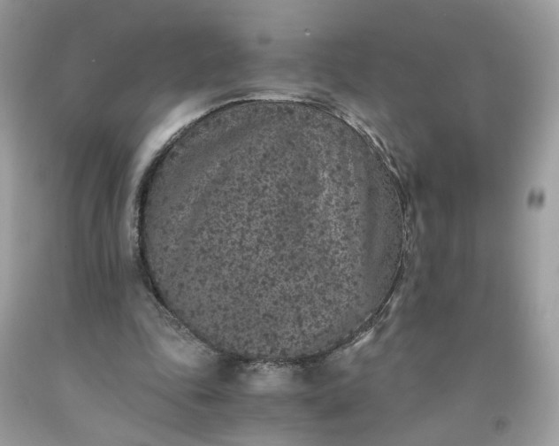 X0000091650343200709061003