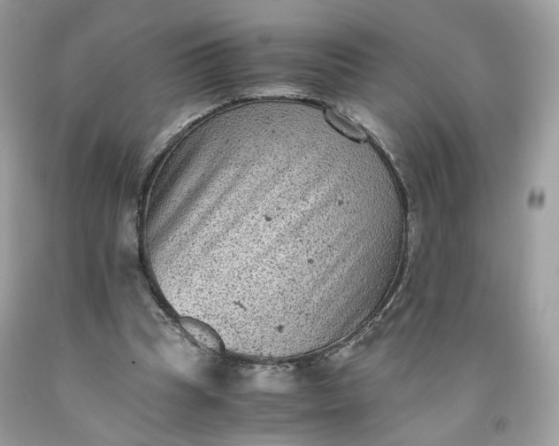 X0000091650345200709061003