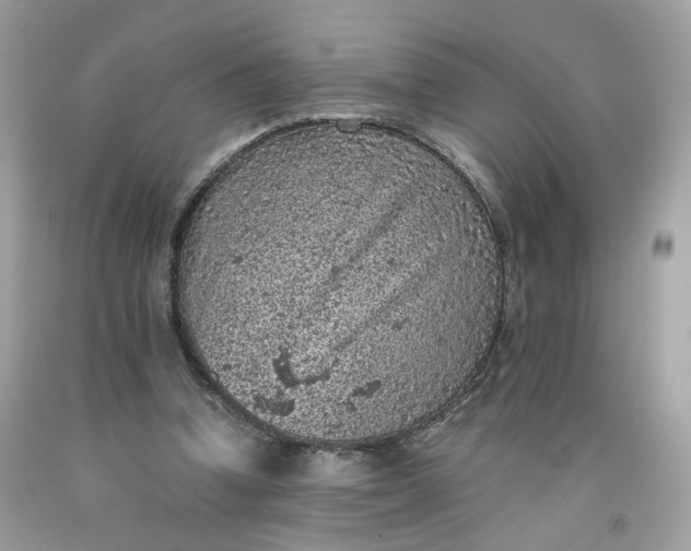 X0000091650346200709061003