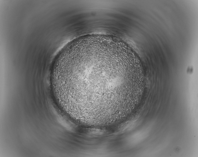 X0000091650347200709061004