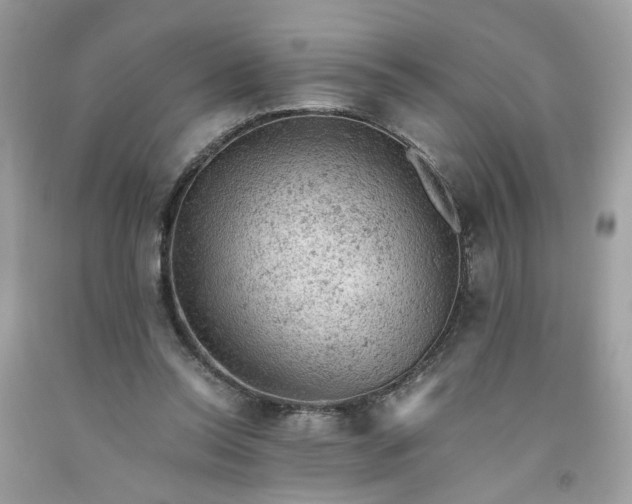 X0000091650350200709061004