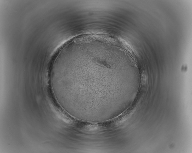 X0000091650351200709061004