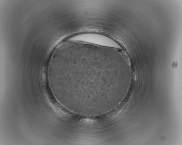 X0000091650352200709061004