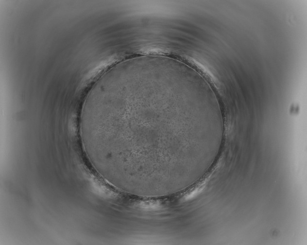 X0000091650353200709061004