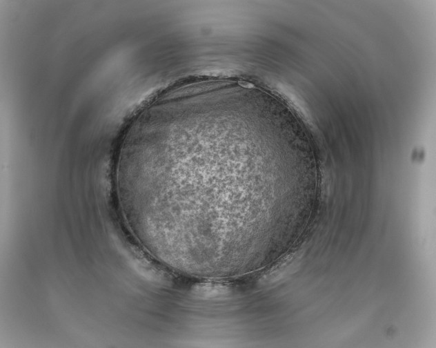 X0000091650354200709061004