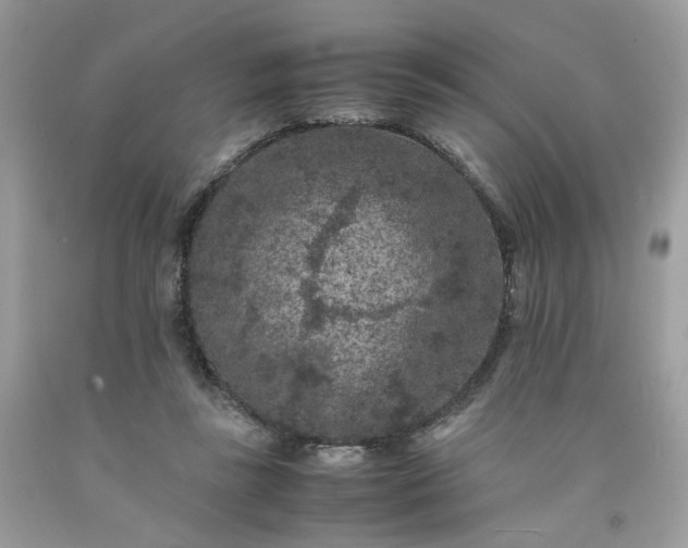 X0000091650355200709061004