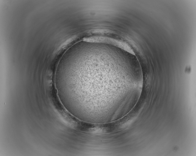 X0000091650356200709061004