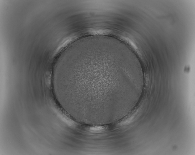 X0000091650357200709061004