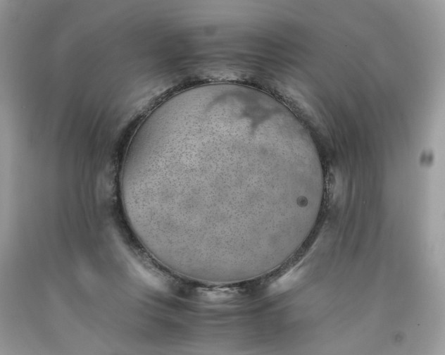 X0000091650359200709061004